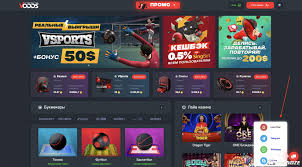 Как пополнить счет через Payz Полное руководство 1657464376