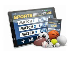 The Rise of Online Casino Culture in Korea