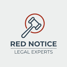 Understanding the Interpol Lawyers Team Navigating Legal Complexities