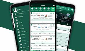 Comprehensive Guide to BetWinner Bonus Details -852404355