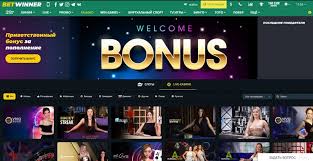 Comprehensive Guide to BetWinner Your Go-To Online Betting Platform