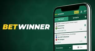 Comprehensive Guide to BetWinner Your Go-To Online Betting Platform
