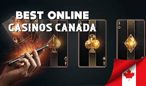 Top 5 Online Casinos Discover the Best Gaming Experience